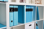 P+P PASTELINI blue Iratrend.P+P PASTELINI blue  7-280