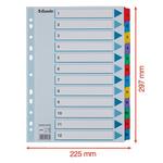 Regiszter Esselte MYLAR karton A4 1-12 100162