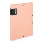 P+P PASTELINI apricot Füzetbox PASTELINI barack PP  2-967