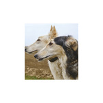 Képes falinaptár Top Timer Kutyák 220x330mm,  2026.év