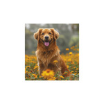 Képes falinaptár Top Timer Kutyák 220x330mm,  2026.év