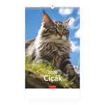Képes falinaptár Top Timer Cicák 220x330mm,  2026.év