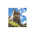 Képes falinaptár Top Timer Cicák 220x330mm,  2026.év