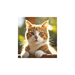 Képes falinaptár Top Timer Cicák 220x330mm,  2026.év