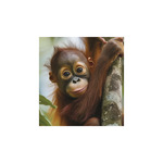 Képes falinaptár Top Timer Vadállatok 220x330mm,  2026.év