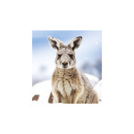 Képes falinaptár Top Timer Vadállatok 220x330mm,  2026.év