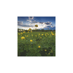 Képes falinaptár Top Timer Nemzeti Parkjaink 220x330mm 2026.év