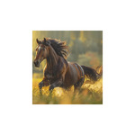 Képes falinaptár Top Timer Lovak, 2026.év