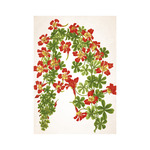 Képes falinaptár Top Timer Herbárium 315x450mm,  2026.év