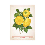 Képes falinaptár Top Timer Herbárium 315x450mm,  2026.év