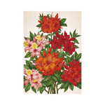 Képes falinaptár Top Timer Herbárium 315x450mm,  2026.év