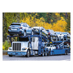Képes falinaptár Top Timer Trucks, 450x315mm,  2026.év