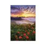 Képes falinaptár Top Timer NATURE EMOTIONS  315x450mm,  2026.év
