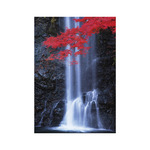 Képes falinaptár Top Timer NATURE EMOTIONS  315x450mm,  2026.év