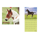 K&eacute;pes falinapt&aacute;r, Top Timer Horses, 290x580mm  2027.&eacute;v
