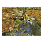 Top Timer T093 Magyarország vízei Falinaptár képes, 405mm x 320mm  2026.év