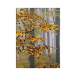 Top Timer T093 Ezerszínű Magyarország Falinaptár képes, 405mm x 320mm 2026.év