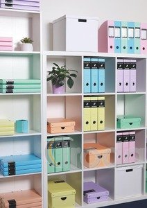P+P PASTELINI pink Iratrend.P+P PASTELINI pink  7-281