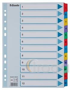 Regiszter Esselte MYLAR karton A4 1-12 100162