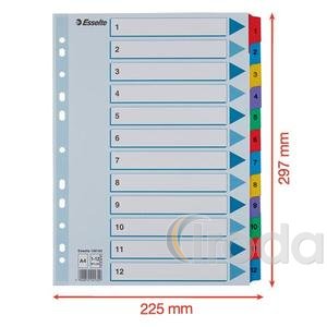 Regiszter Esselte MYLAR karton A4 1-12 100162