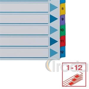Regiszter Esselte MYLAR karton A4 1-12 100162
