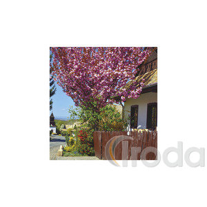 Képes falinaptár  220x330mm, Hungary, 2026.év