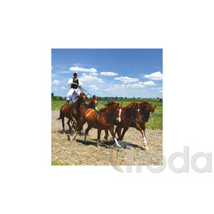 Képes falinaptár  220x330mm, Hungary, 2026.év