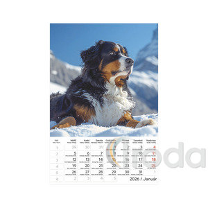 Képes falinaptár Top Timer Kutyák 220x330mm,  2026.év