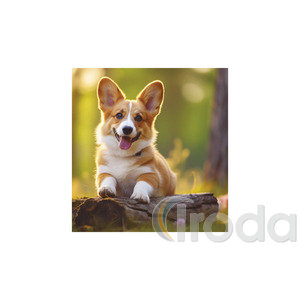 Képes falinaptár Top Timer Kutyák 220x330mm,  2026.év