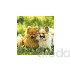 Képes falinaptár Top Timer Kutyák 220x330mm,  2026.év