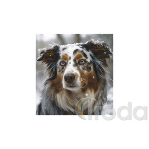 Képes falinaptár Top Timer Kutyák 220x330mm,  2026.év