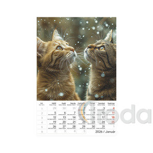 Képes falinaptár Top Timer Cicák 220x330mm,  2026.év