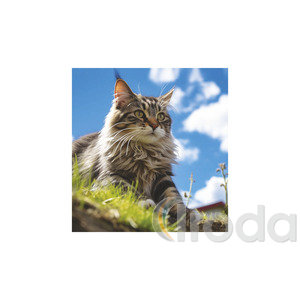 Képes falinaptár Top Timer Cicák 220x330mm,  2026.év