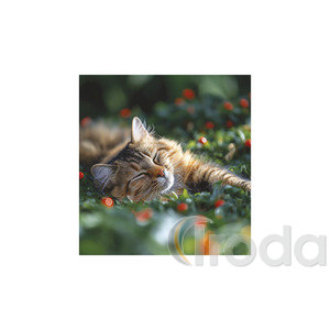 Képes falinaptár Top Timer Cicák 220x330mm,  2026.év