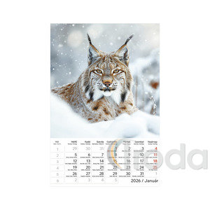 Képes falinaptár Top Timer Vadállatok 220x330mm,  2026.év