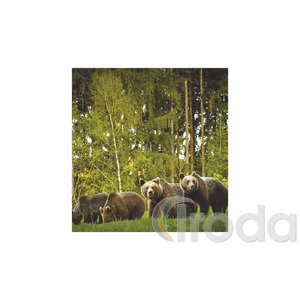 Képes falinaptár Top Timer Vadállatok 220x330mm,  2026.év