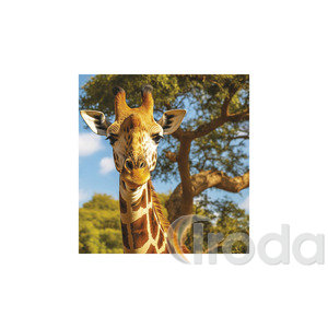 Képes falinaptár Top Timer Vadállatok 220x330mm,  2026.év