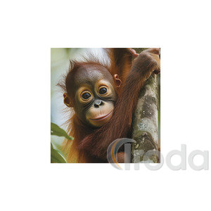 Képes falinaptár Top Timer Vadállatok 220x330mm,  2026.év