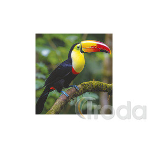 Képes falinaptár Top Timer Vadállatok 220x330mm,  2026.év