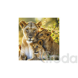 Képes falinaptár Top Timer Vadállatok 220x330mm,  2026.év