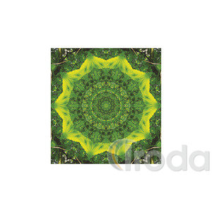 Képes falinaptár Top Timer Mandala naptár 220x330mm 2026.év