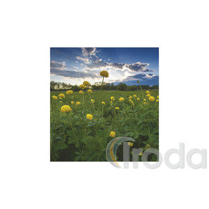 Képes falinaptár Top Timer Nemzeti Parkjaink 220x330mm 2026.év