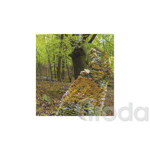 Képes falinaptár Top Timer Nemzeti Parkjaink 220x330mm 2026.év