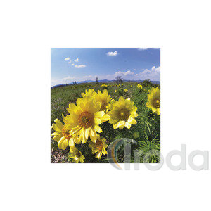 Képes falinaptár Top Timer Nemzeti Parkjaink 220x330mm 2026.év