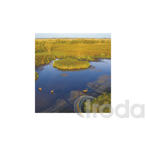 Képes falinaptár Top Timer Nemzeti Parkjaink 220x330mm 2026.év