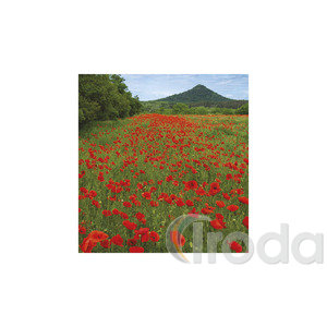 Képes falinaptár Top Timer Nemzeti Parkjaink 220x330mm 2026.év