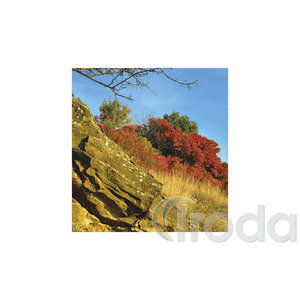Képes falinaptár Top Timer Nemzeti Parkjaink 220x330mm 2026.év