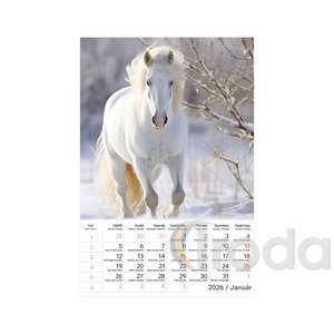 Képes falinaptár Top Timer Lovak, 2026.év