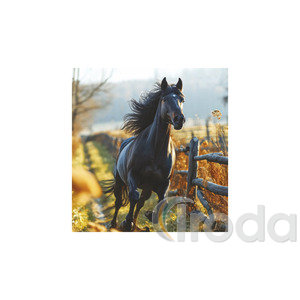 Képes falinaptár Top Timer Lovak, 2026.év