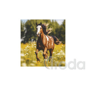 Képes falinaptár Top Timer Lovak, 2026.év